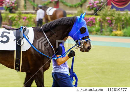 札幌賽馬場圍場 札幌賽馬場圍場 115810777
