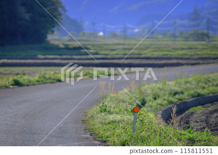 農場道路上的反光鏡 115811551