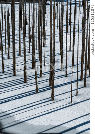 冬天的大瀧村天然湖 115811875