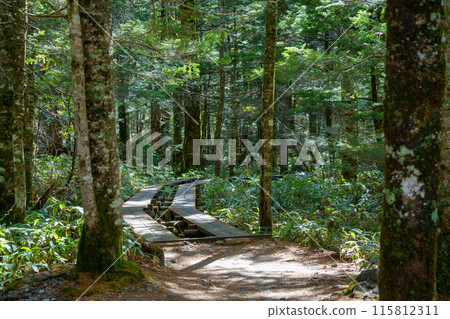 Autumn in Kamikochi - well-maintained boardwalk (Nagano Prefecture, Japan) Autumn in Kamikochi - well-maintained boardwalk (Nagano Prefecture, Japan) 115812311