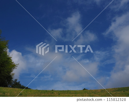 草和天空 115812328