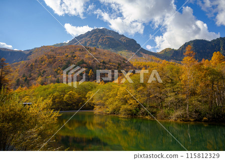 上高地、大正池和燒嶽山（日本長野縣）的秋葉 115812329