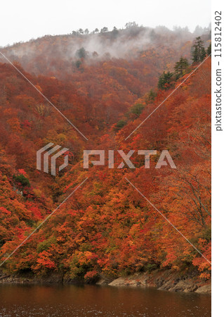 Autumn leaves at Lake Okutadami, view from a sightseeing boat (Niigata Prefecture, Japan) 115812402