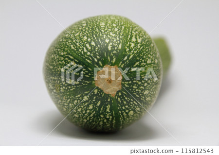 西葫蘆特寫 西葫蘆特寫 115812543