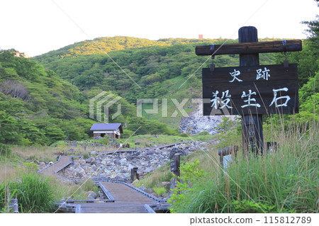 栃木縣雪松關/那鬚町 115812789