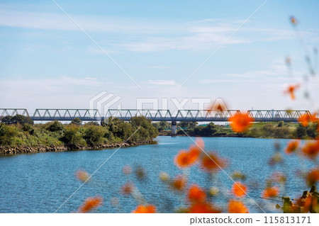 Scenery of the Arakawa riverbed under a pleasant autumn sky Scenery of the Arakawa riverbed under a pleasant autumn sky 115813171