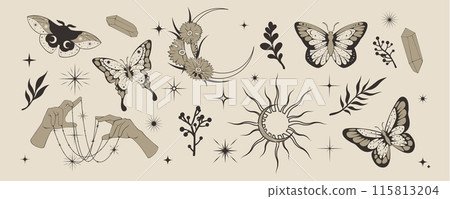 Butterfly mystic. Celestial astrology crystal, moon and moth, hand drawn flower, galaxy star. Esoteric tattoo, boho symbol occult, magic alchemy bohemian. Vector art isolated minimal illustration 115813204