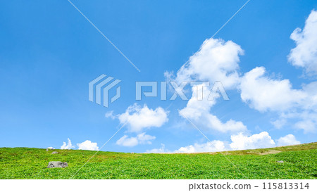 夏季清爽的高原風景(美原高原) 夏季清爽的高原風景(美原高原) 115813314