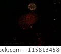 Fireworks blooming in the night sky 115813458
