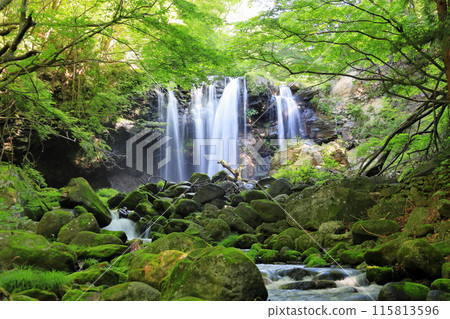 Otome no Taki / Nasushiobara City, Tochigi Prefecture 115813596