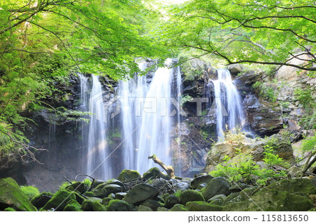 Otome no Taki / Nasushiobara City, Tochigi Prefecture 115813650