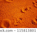 Cat footprints on the beach 115813801