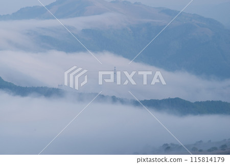 有霧的霧峰 115814179