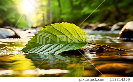 Close-up of a Green Leaf Floating in the Water of a Stream - Generative Ai Close-up of a Green Leaf Floating in the Water of a Stream - Generative Ai 115814299