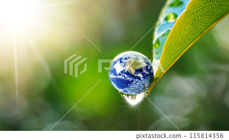 Close-up of the World in a Drop Above a Green Leaf with Rainwater Drops - Generative Ai 115814356