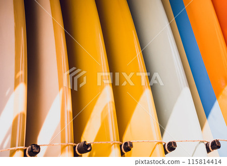 A variety of surfboards are neatly displayed on a stand 115814414