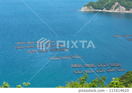 虎河豚養殖籠 115814620