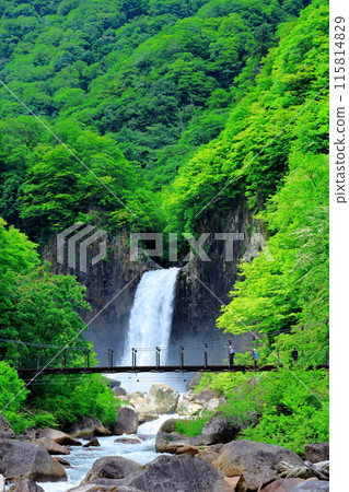 Naena Falls in June Naena Falls in June 115814829