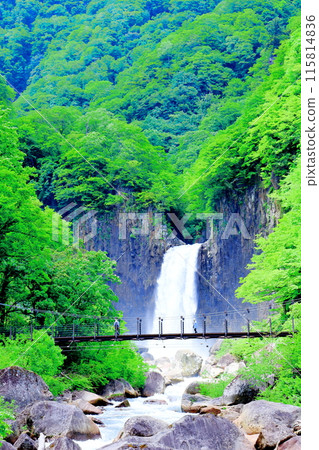 Naena Falls in June Naena Falls in June 115814836