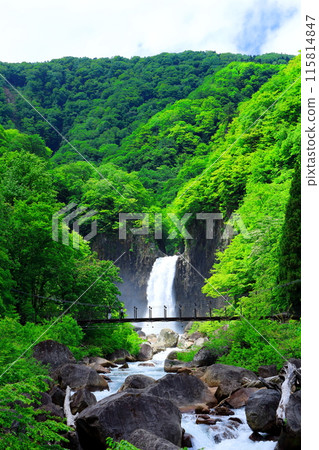 Naena Falls in June Naena Falls in June 115814847