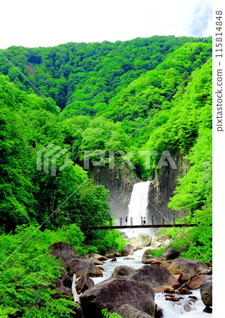 Naena Falls in June Naena Falls in June 115814848