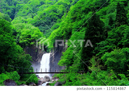 Naena Falls in June Naena Falls in June 115814867