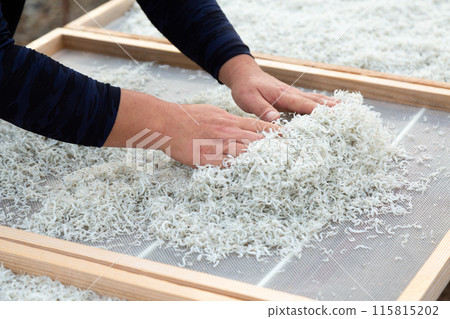 曬乾的chirimen 115815202