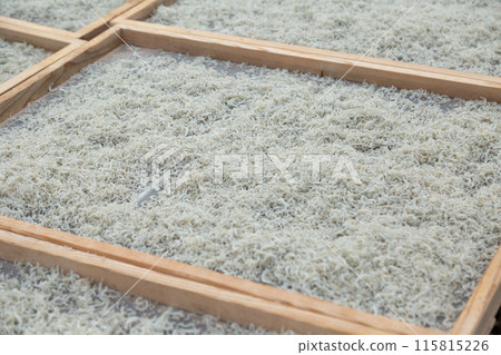 曬乾的chirimen 115815226