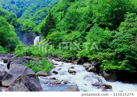 Naena Falls in June Naena Falls in June 115815274