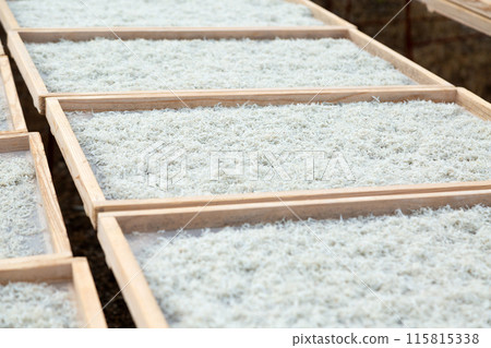 Chirimen drying in the sun 115815338