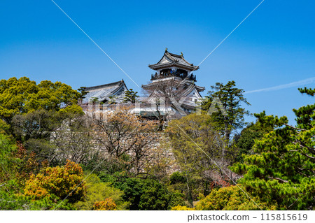 【日本名城百選】春天的高知城 - 從護城河看到的天守閣4 - 高知縣高知市 【日本名城百選】春天的高知城 - 從護城河看到的天守閣4 - 高知縣高知市 115815619