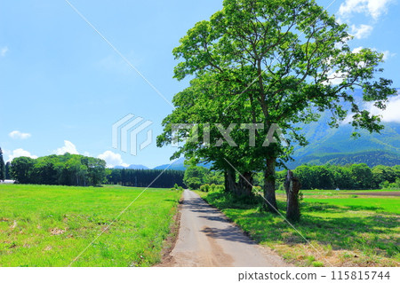 Mount Kurohime in June Mount Kurohime in June 115815744