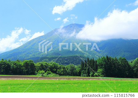 六月的黑姬山 六月的黑姬山 115815766