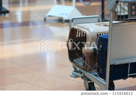 Pet transport cages - Carrying pets on an airplane 115816013