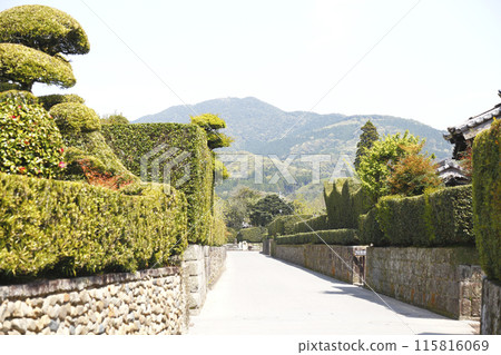 The neatly maintained samurai residence street of Chiran 115816069