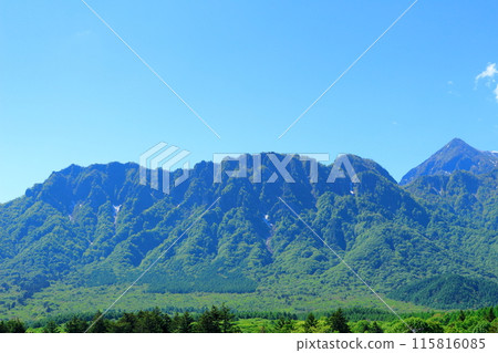 Mount Togakushi in June Mount Togakushi in Spring Mount Togakushi in June Mount Togakushi in Spring 115816085
