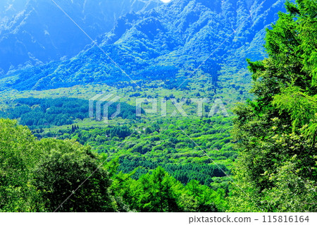 Mount Togakushi in June Mount Togakushi in Spring Mount Togakushi in June Mount Togakushi in Spring 115816164