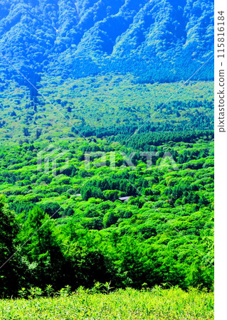 Mount Togakushi in June Mount Togakushi in Spring 115816184