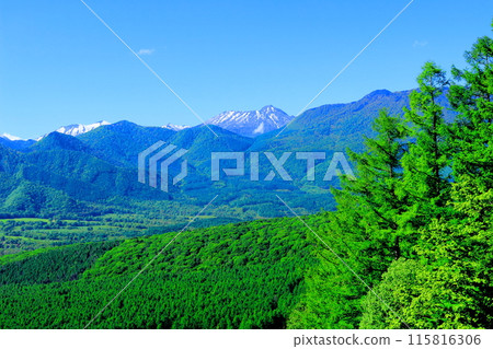 Mount Togakushi in June Mount Togakushi in Spring 115816306