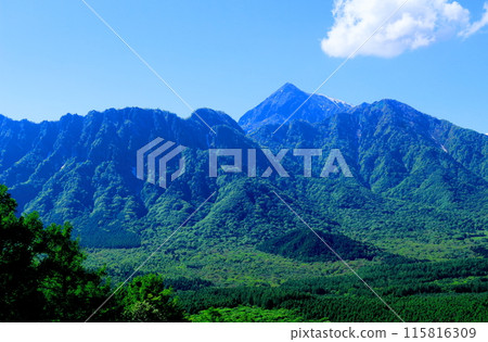 六月的戶隱山 春天的戶隱山 六月的戶隱山 春天的戶隱山 115816309