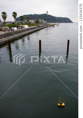 從片瀨橋眺望江之島 從片瀨橋眺望江之島 115816378