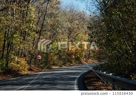 Turning a road in an autumn forest landscape Turning a road in an autumn forest landscape 115816430