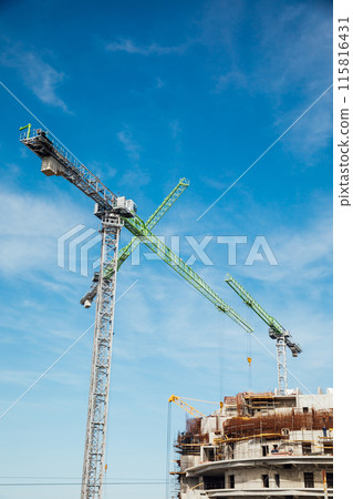 Construction crane on the design of the construction of a house Construction crane on the design of the construction of a house 115816431