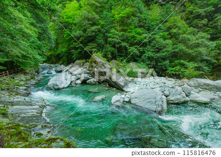 The impressive Yasui Valley The impressive Yasui Valley 115816476