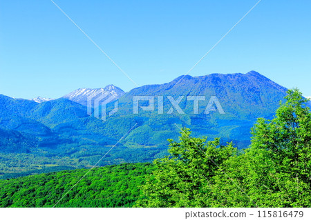 六月的戶隱山、黑姬山、高妻山 六月的戶隱山、黑姬山、高妻山 115816479