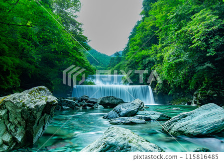 令人印象深刻的安井谷 令人印象深刻的安井谷 115816485