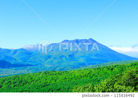 六月的戶隱山、黑姬山、高妻山 115816492