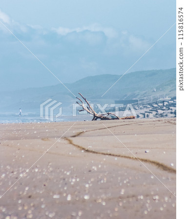 茨城縣鉾田市鹿島灘海濱公園 115816574