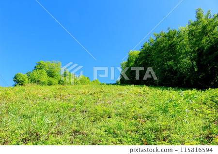六月的戶隱山、黑姬山、高妻山 115816594