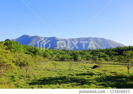 大自然的寶庫沼原濕地/栃木縣那須鹽原市 大自然的寶庫沼原濕地/栃木縣那須鹽原市 115816651